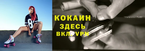 прущие грибы Алексеевка