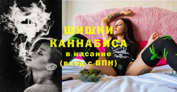 молекула духа Аркадак
