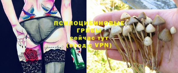 ALPHA-PVP Армянск